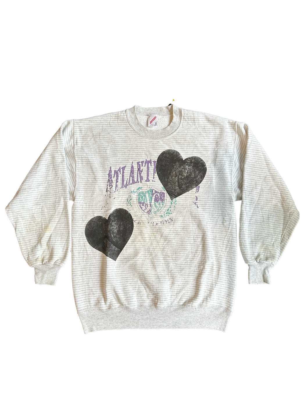 atlantic city (small/medium)