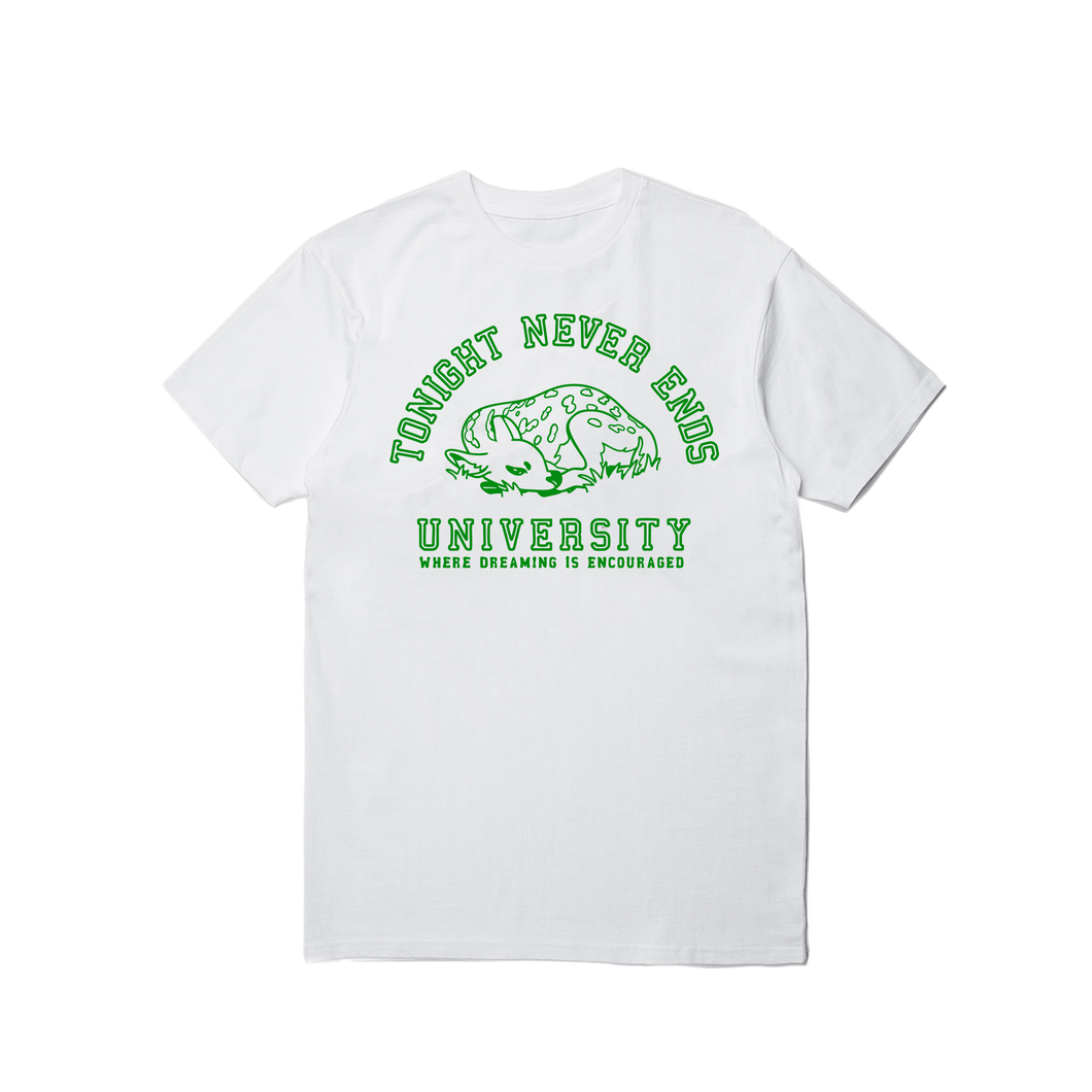 i went to college tee