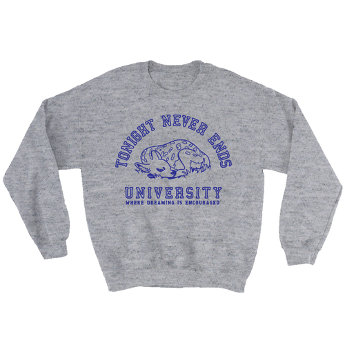 i went to college crewneck