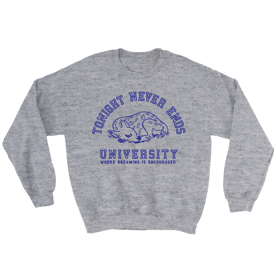 i went to college crewneck