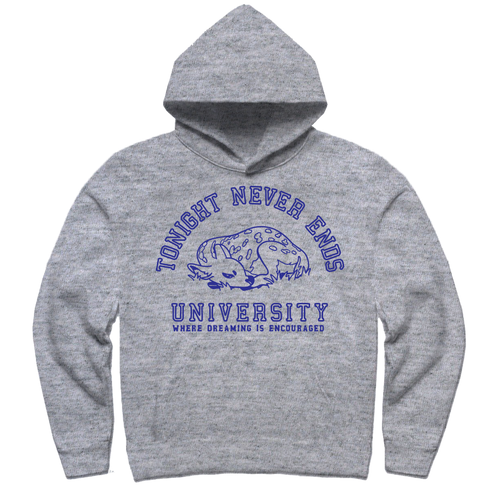 i went to college hoodie